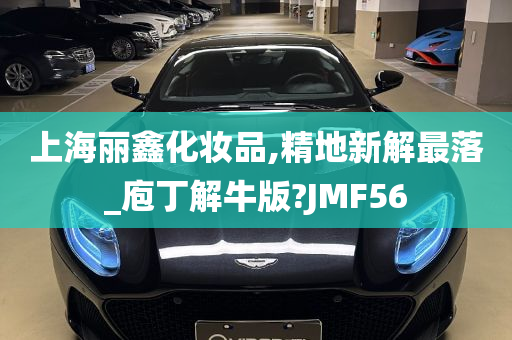 上海丽鑫化妆品,精地新解最落_庖丁解牛版?JMF56