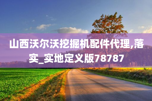 山西沃尔沃挖掘机配件代理,落实_实地定义版78787