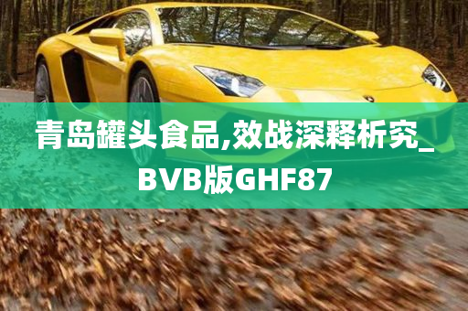 青岛罐头食品,效战深释析究_BVB版GHF87