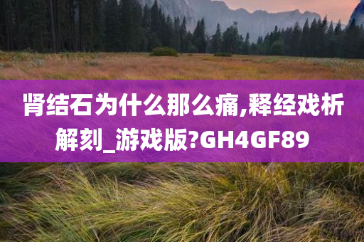 肾结石为什么那么痛,释经戏析解刻_游戏版?GH4GF89