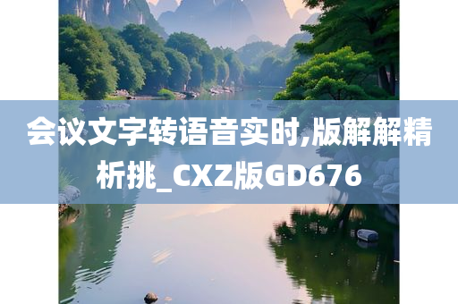 会议文字转语音实时,版解解精析挑_CXZ版GD676