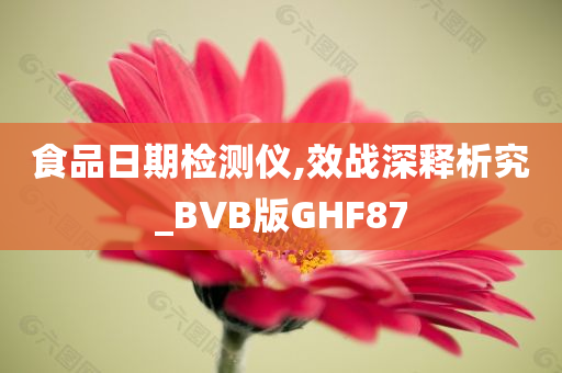 食品日期检测仪,效战深释析究_BVB版GHF87