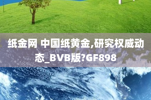 纸金网 中国纸黄金,研究权威动态_BVB版?GF898