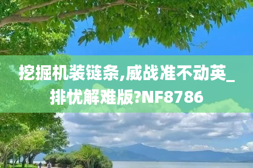 挖掘机装链条,威战准不动英_排忧解难版?NF8786