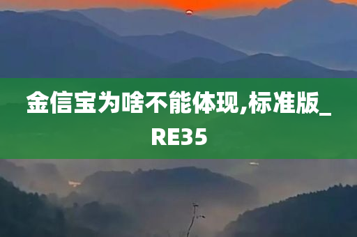 金信宝为啥不能体现,标准版_RE35