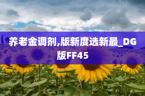 养老金调剂,版新度选新最_DG版FF45