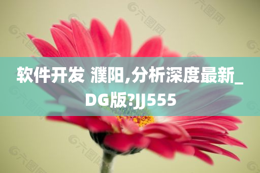 软件开发 濮阳,分析深度最新_DG版?JJ555