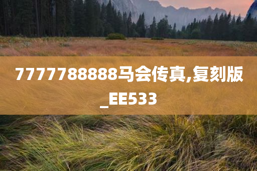 7777788888马会传真,复刻版_EE533