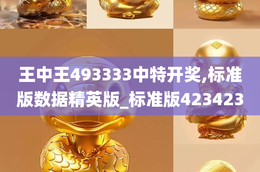 王中王493333中特开奖,标准版数据精英版_标准版423423