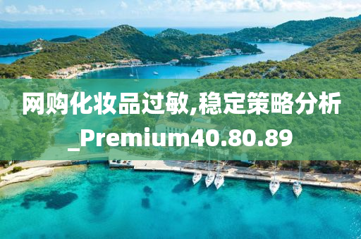 网购化妆品过敏,稳定策略分析_Premium40.80.89