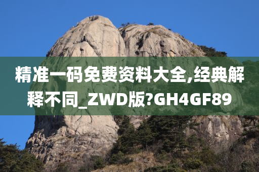 精准一码免费资料大全,经典解释不同_ZWD版?GH4GF89