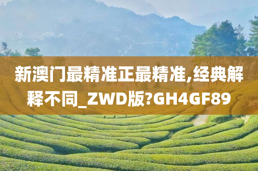 新澳门最精准正最精准,经典解释不同_ZWD版?GH4GF89