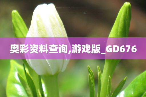 奥彩资料查询,游戏版_GD676