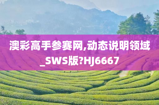 澳彩高手参赛网,动态说明领域_SWS版?HJ6667