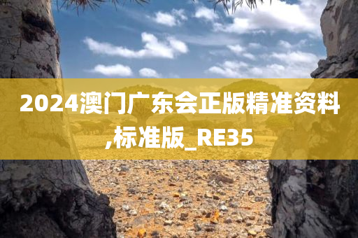 2024澳门广东会正版精准资料,标准版_RE35