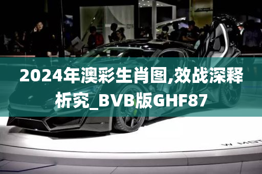 2024年澳彩生肖图,效战深释析究_BVB版GHF87