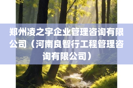 郑州凌之宇企业管理咨询有限公司（河南良智行工程管理咨询有限公司）