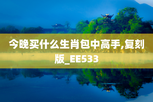 今晚买什么生肖包中高手,复刻版_EE533