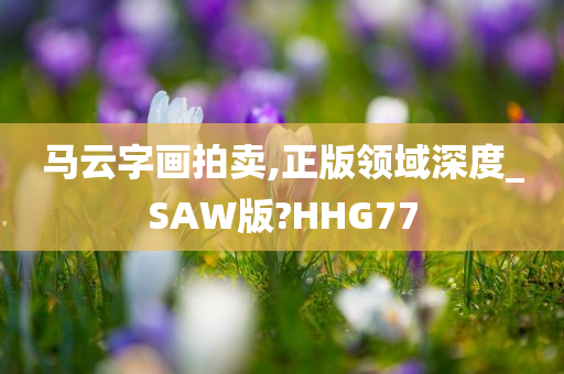 马云字画拍卖,正版领域深度_SAW版?HHG77