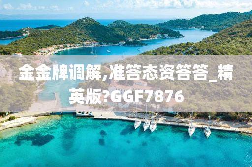 金金牌调解,准答态资答答_精英版?GGF7876