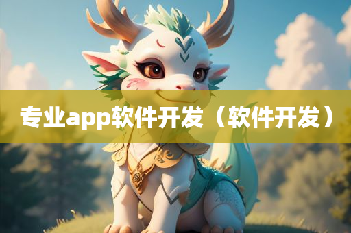 专业app软件开发（软件开发）