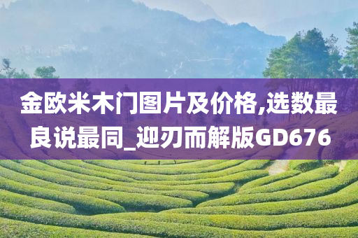 金欧米木门图片及价格,选数最良说最同_迎刃而解版GD676