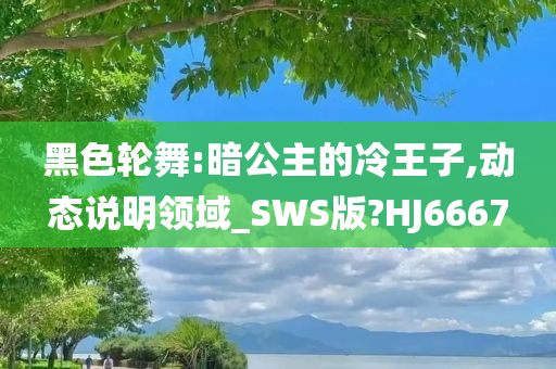 黑色轮舞:暗公主的冷王子,动态说明领域_SWS版?HJ6667