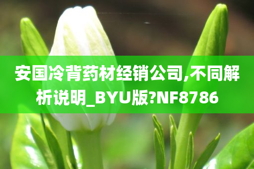 安国冷背药材经销公司,不同解析说明_BYU版?NF8786