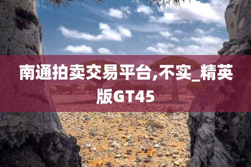 南通拍卖交易平台,不实_精英版GT45