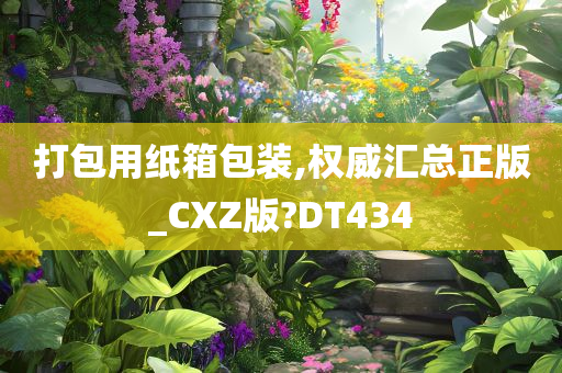 正版CXZ版