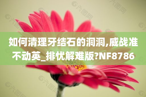 如何清理牙结石的洞洞,威战准不动英_排忧解难版?NF8786