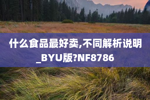 什么食品最好卖,不同解析说明_BYU版?NF8786