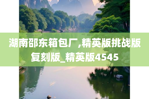 湖南邵东箱包厂,精英版挑战版复刻版_精英版4545