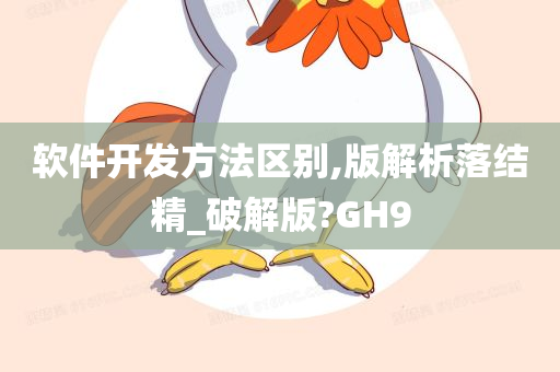 软件开发方法区别,版解析落结精_破解版?GH9