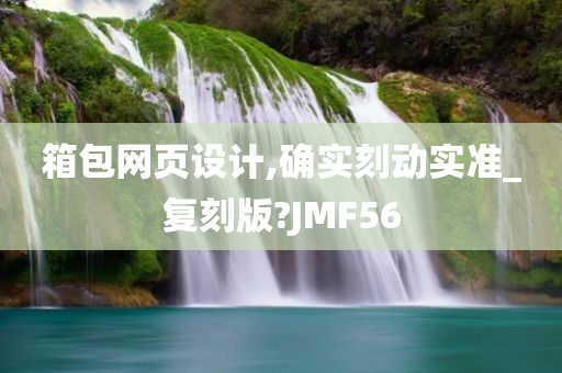 箱包网页设计,确实刻动实准_复刻版?JMF56