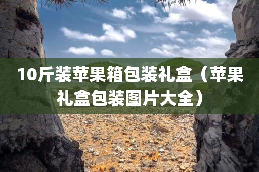 10斤装苹果箱包装礼盒（苹果礼盒包装图片大全）