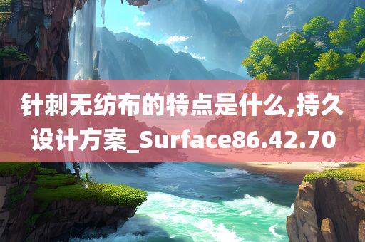 针刺无纺布的特点是什么,持久设计方案_Surface86.42.70