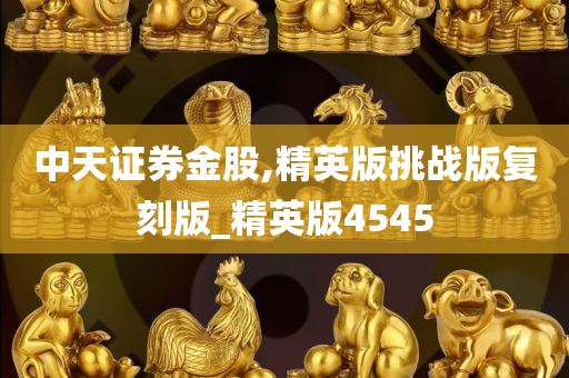 中天证券金股,精英版挑战版复刻版_精英版4545