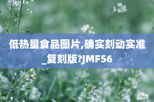 低热量食品图片,确实刻动实准_复刻版?JMF56