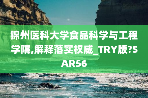 锦州医科大学食品科学与工程学院,解释落实权威_TRY版?SAR56