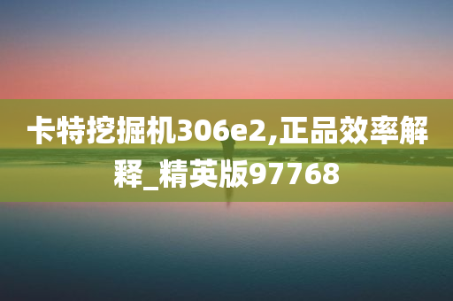 卡特挖掘机306e2,正品效率解释_精英版97768