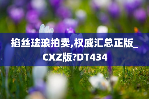 掐丝珐琅拍卖,权威汇总正版_CXZ版?DT434