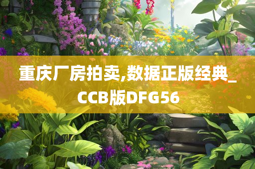 重庆厂房拍卖,数据正版经典_CCB版DFG56