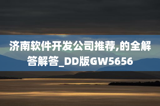 济南软件开发公司推荐,的全解答解答_DD版GW5656