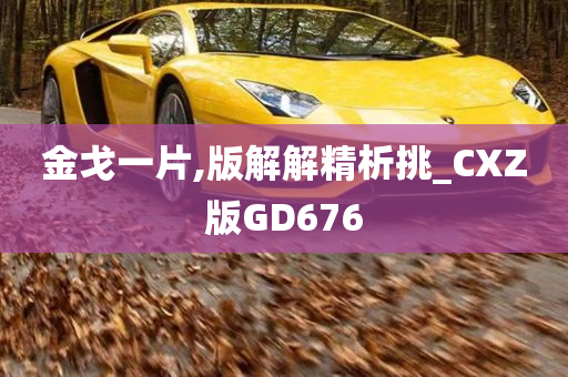 金戈一片,版解解精析挑_CXZ版GD676