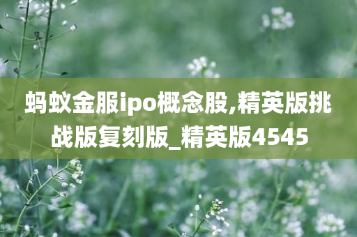 蚂蚁金服ipo概念股,精英版挑战版复刻版_精英版4545