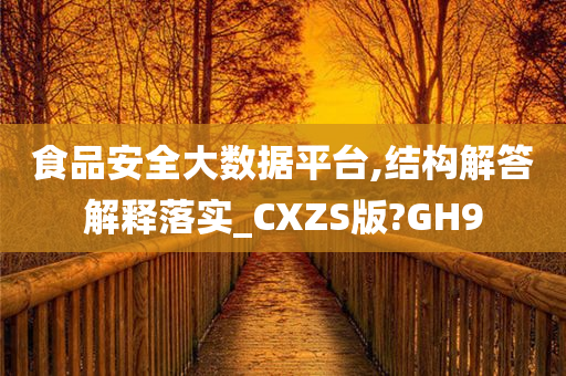 食品安全大数据平台,结构解答解释落实_CXZS版?GH9