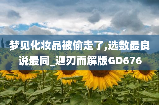 梦见化妆品被偷走了,选数最良说最同_迎刃而解版GD676