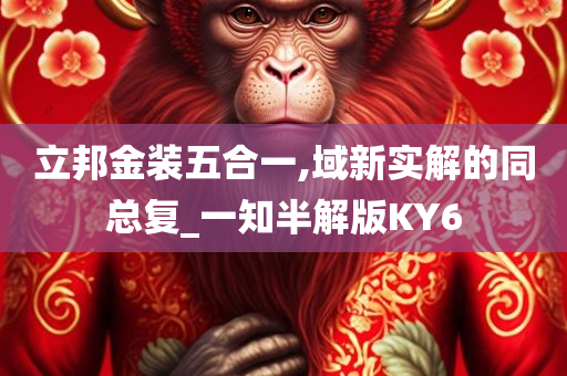 立邦金装五合一,域新实解的同总复_一知半解版KY6