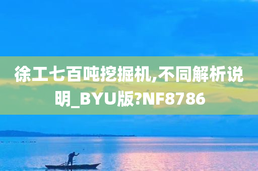 徐工七百吨挖掘机,不同解析说明_BYU版?NF8786